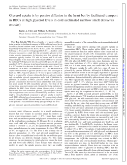 Glycerol uptake is by passive diffusion in the heart but by facilitated