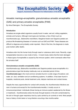 job description - Encephalitis Society