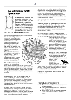 2006 1 sperm storage - Bedfordshire Bat Group