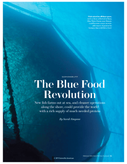 The Blue Food Revolution