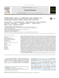 Flexible flight response to challenging wind conditions in a