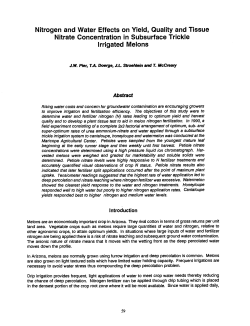 Nitrogen and Water Effects on Yield, Quality and Tissue Nitrate