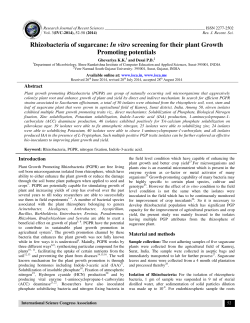 Rhizobacteria of sugarcane: In vitro screening for their plant Growth