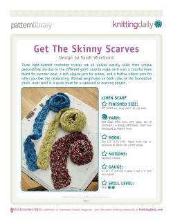 Get The Skinny Scarves
