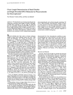 and Single-Stranded DNA Molecules by Polyacrylamide Gel