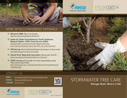 stormwater tree care
