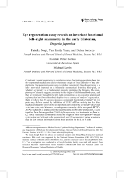 Eye regeneration assay reveals an invariant functional left&plusmn;right