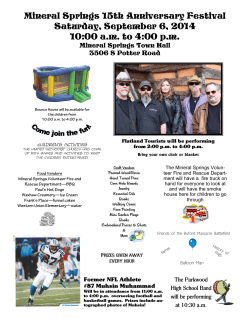 2014 Festival Flyer