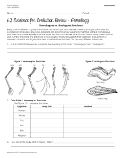 6.2 Evidence for Evolution Review - Homology