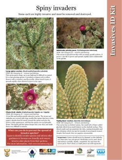 The Gardener - February 2014