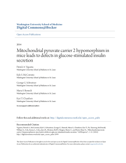 Mitochondrial pyruvate carrier 2 hypomorphism in mice