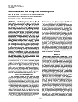 Brain structures and life-span in primate species