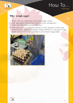 3. Weigh Eggs