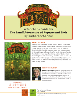A Teacher`s Guide for The Small Adventure of