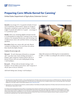 Preparing Corn: Whole Kernel for Canning1