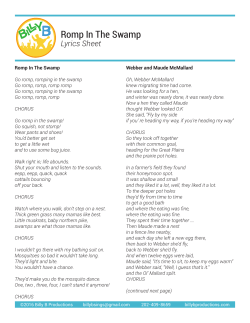 Romp In The Swamp - Billy B. Productions