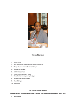 Table of Content - Meskerem, the First Eritrean Opposition Website