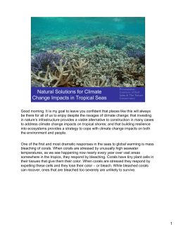 Natural Solutions for Climate Change Impacts in Tropical Seas