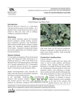 Broccoli - University of Kentucky
