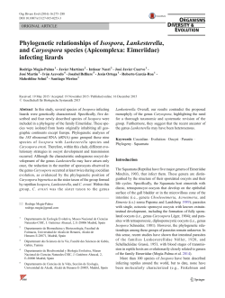 Phylogenetic relationships of Isospora, Lankesterella, and