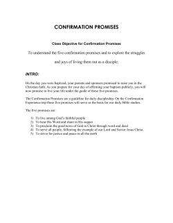 Education - Confirmation Promises