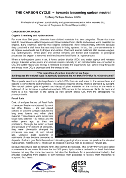 THE CARBON CYCLE - Sustainable Energy Forum
