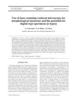 Use of laser scanning confocal microscopy for morphological