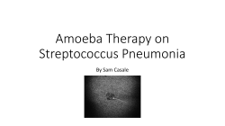Sam Casale CCHS Amoeba Therapy on Streptococcus Pneumonia