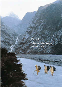 The state of wilderness in New Zealand