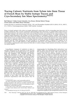 Tracing Cationic Nutrients from Xylem into Stem