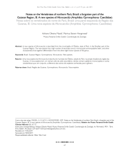 Notes on the Vertebrates of northern Par&aacute;, Brazil