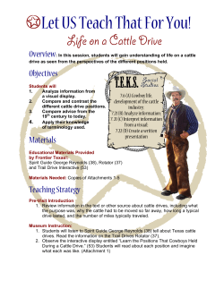 Life on a Cattle Drive