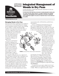 Integrated Management of Weeds in Dry Peas