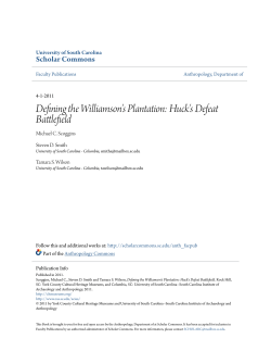 Defining the Williamson`s Plantation: Huck`s