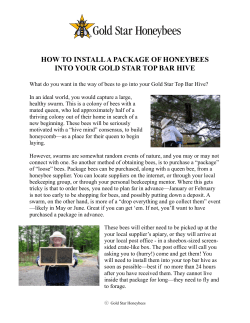 Hive Startup Handbook 2011