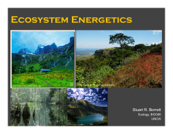 Ecosystem Energetics - People Server at UNCW