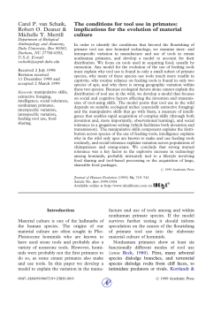 The conditions for tool use in primates