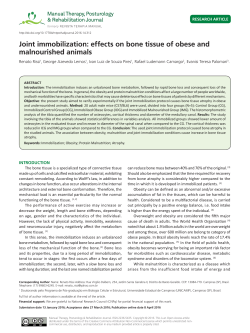Joint immobilization: effects on bone tissue of obese and