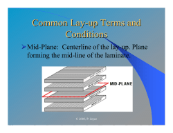 Common Lay-up Terms and Conditions