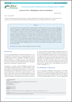 A Systems View of Waddington`s Genetic Assimilation I
