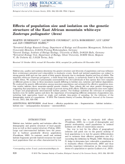 Effects of population size and isolation on the genetic structure of the