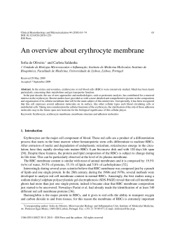 An overview about erythrocyte membrane