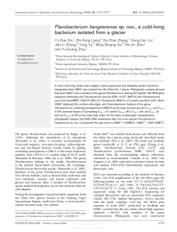 Flavobacterium tiangeerense sp. nov., a cold