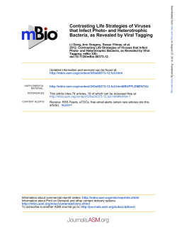 Contrasting Life Strategies of Viruses that Infect Photo