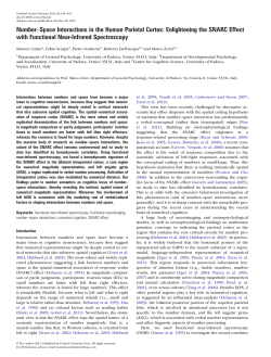 Number&ndash;Space Interactions in the Human