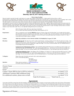 snake avoidance clinic - Emerald Coast Vizsla Club