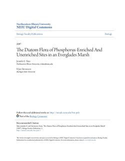 The Diatom Flora of Phosphorus-Enriched And Unenriched Sites in