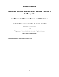 Supporting Information Computational Modeling of Pulsed Laser