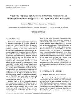 Antibody response against outer membrane components of