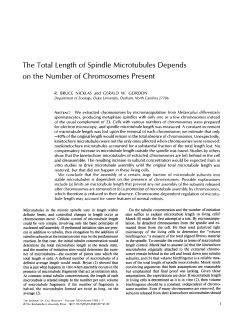 The Total Length of Spindle Microtubules on the Number of